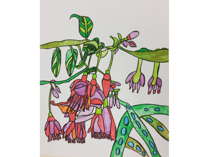 一幅描繪植物的插圖,展示了盛開的花朵和繁茂的葉子,色彩鮮豔,生機盎然。