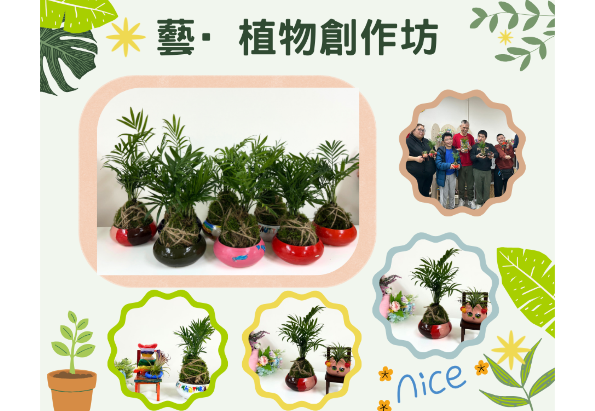 植物工作坊作品2